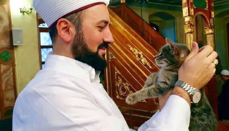 بالصور والفيديو إمام تركي يسمح للقطط بالدخول إلى المسجد