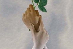 ولِم لم يخلقها الله من آدم وهو مستيقظ؟ أتعلمون السبب؟