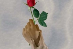 أين أنت ? نصفك الآخر يبحث عنك