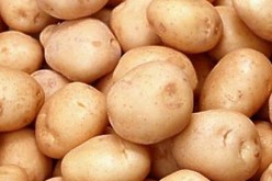 غياب الرقابة والمضاربة يلهبان أسعار البطاطا في الأسواق