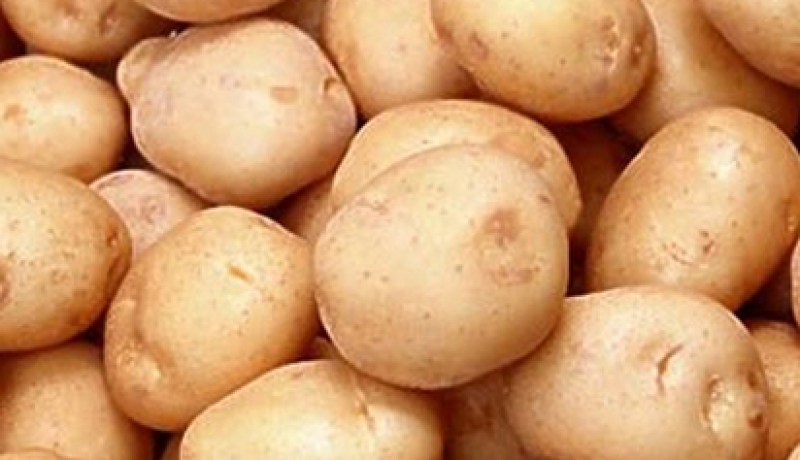 غياب الرقابة والمضاربة يلهبان أسعار البطاطا في الأسواق