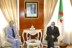 تعليم عالي: تشجيع التعاون ودعمه مع الجامعات الهولندية