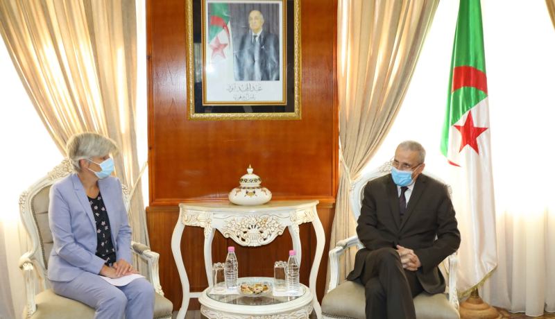 تعليم عالي: تشجيع التعاون ودعمه مع الجامعات الهولندية