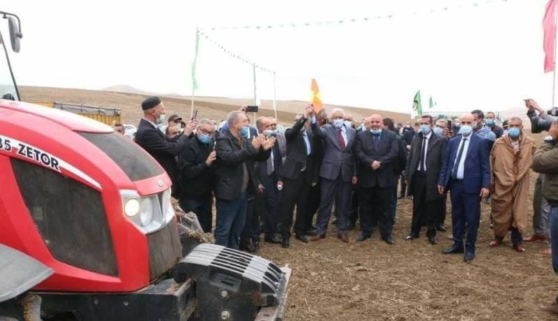 إنطلاق أول موسم فلاحي لزراعة السلجم الزيتي “الكولزا” بالجزائر