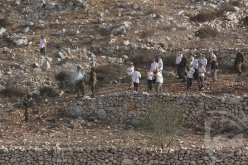 مسؤول فلسطيني يطالب بإرسال قوة دولية لوقف عدوان المستوطنين