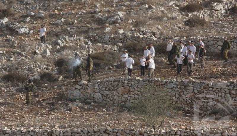 مسؤول فلسطيني يطالب بإرسال قوة دولية لوقف عدوان المستوطنين