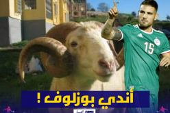 دولور: ” تسميتي أصبحت آندي بوزلوف”!