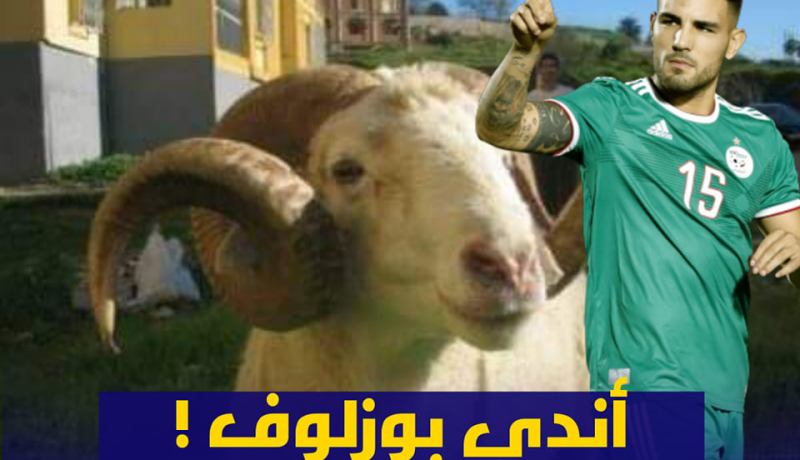 دولور: ” تسميتي أصبحت آندي بوزلوف”!