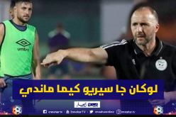 بلماضي: “لوكان يملك بلايلي إحترافية ماندي لكان اليوم في أتليتيكو مدريد”