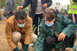 وزيرة الثقافة تشارك في الحملة الوطنية للتشجير رفقة عدد من الفنانين