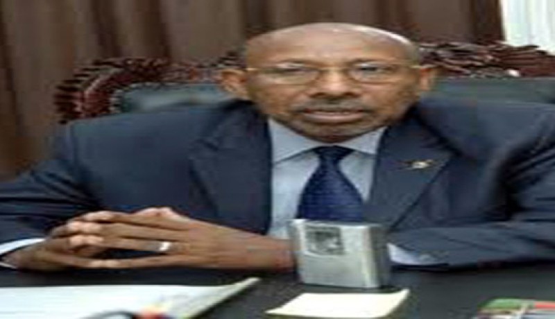 وزير الموارد المائية السوداني : “أي اتفاقية لدول حوض النيل تتجاوز مصر والسودان تولد مشلولة