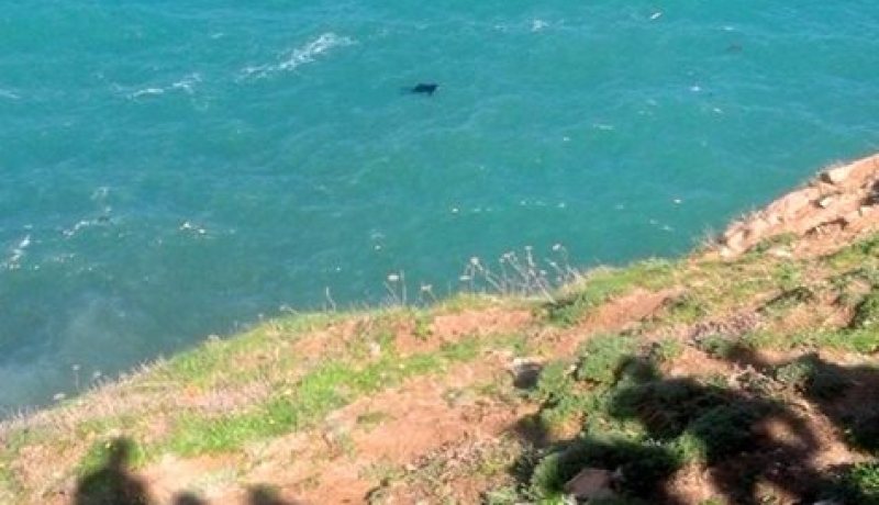 وفاة رئيس بلدية لعوانة إثر سقوط سيارته في بحر زيامة بجيجل
