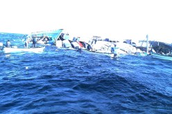 الميليشيات الحوثية تستهدف باخرة لنقل المساعدات الطبية والإغاثية بعدن