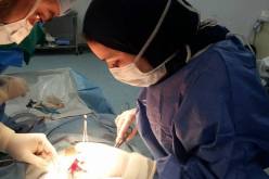 بالصور .. سارة الطبيبة التي يخشاها المرضى