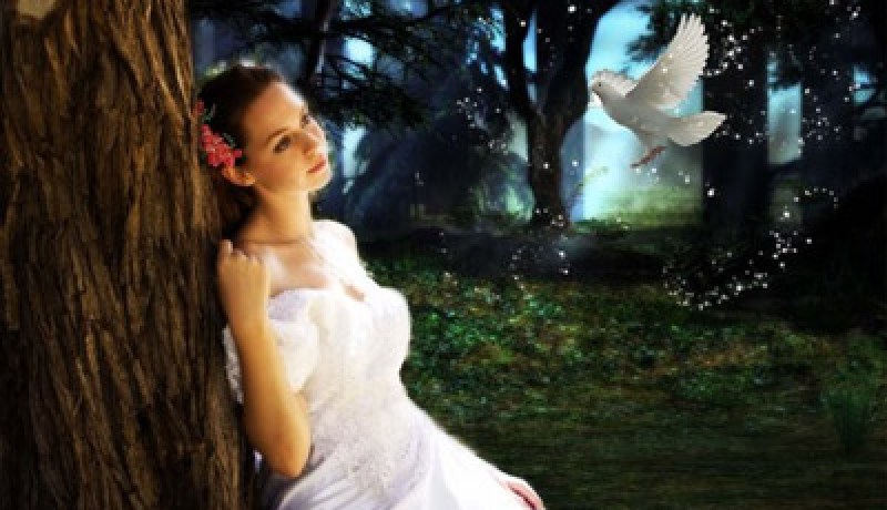 عشية عرسنا واجهني‮ ‬بالواقع فهل أقبل أم أتراجع
