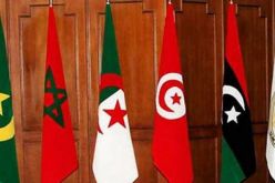 مجلس الشورى للإتحاد المغاربي يدين التدخل السافر والمتكرر للبرلمان الأوروبي ضد الجزائر