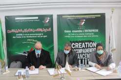توقيع إتفاقية شراكة لترقية المقاولاتية في المجال السياحي والصناعة التقليدية