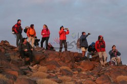 تسهيلات على التأشيرات السياحية للأجانب في الجنوب بداية من 2016