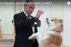 بالفيديو .. شاهد «يومي» كلبة بوتين كيف خطفت الأنظار