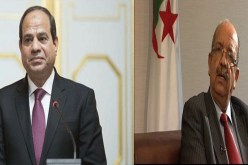 “مساهل” يسلّم رسالة خطية لبوتفليقة إلى السيسي