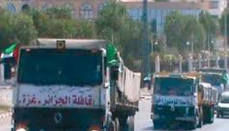 قافلة معونات جزائرية بأكثر من 3 ملايين دولار تصل إلى غزة
