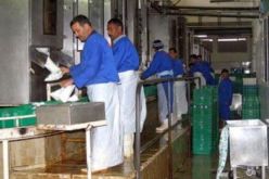 عمال مركب الحليب ببئر خادم يوقفون اضرابهم