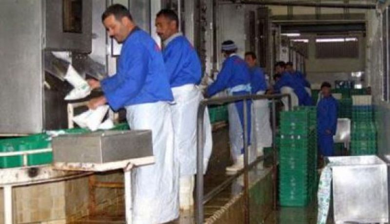 عمال مركب الحليب ببئر خادم يوقفون اضرابهم