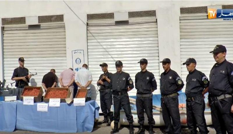 بالفيديو.. تفكيك عصابة وإسترجاع أكثر من 14 كلغ من المرجان بالقل في سكيدة