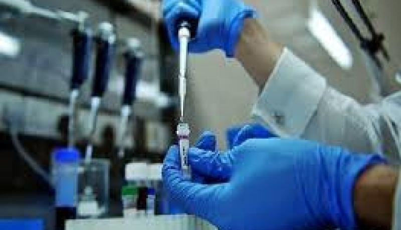 انفلونزا الطيور، انفلونزا الخنازير وكورونا..فيروسات تثير الرعب في العالم