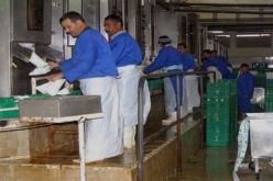 اختيار 12 مؤسسة أجنبية لاستيراد غبرة الحليب