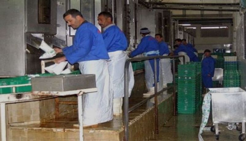 اختيار 12 مؤسسة أجنبية لاستيراد غبرة الحليب