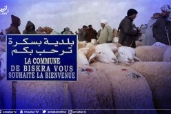 بسكرة: فتح أسواق الماشية عبر كامل إقليم الولاية