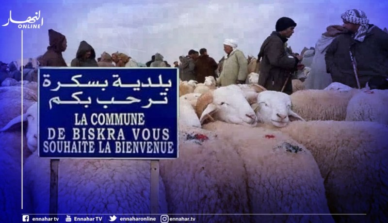 بسكرة: فتح أسواق الماشية عبر كامل إقليم الولاية