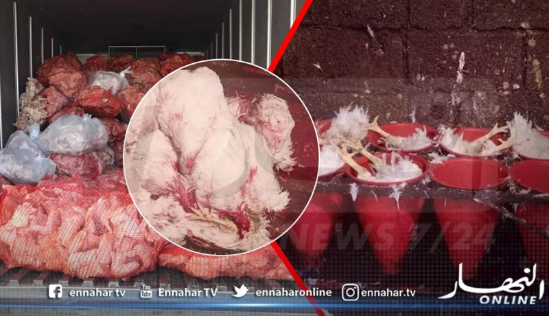 بجاية: الدرك الوطني يحجز اكثر من 41 قنطار من الدجاج الفاسد