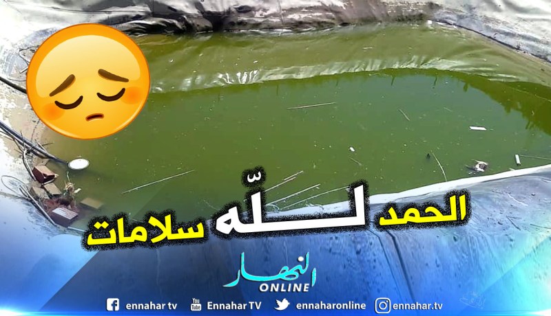 سكان حي بن صالح ينقذون مراسل قناة النهار من سقوط في حاجز مائي أثناء التصوير
