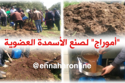 إستغلال “أموراج” وفضلات الحيوانات لصنع الأسمدة العضوية بتيزي وزو