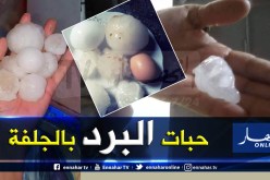 الجلفة: تساقط حبّات برد بحجم البيض يحدث رعبا في الزعفران