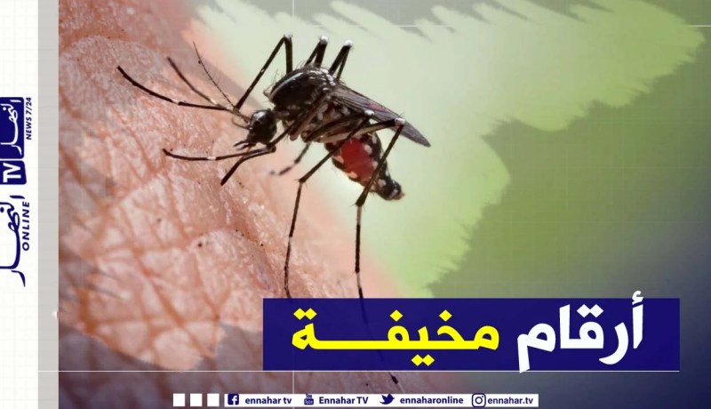 تسجيل 1110 حالة إصابة بالملاريا في 5 ولايات من الوطن