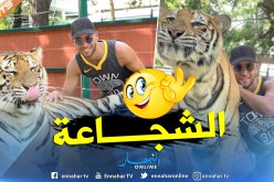 “تايدر” يروّض نمور تايلاندا !!