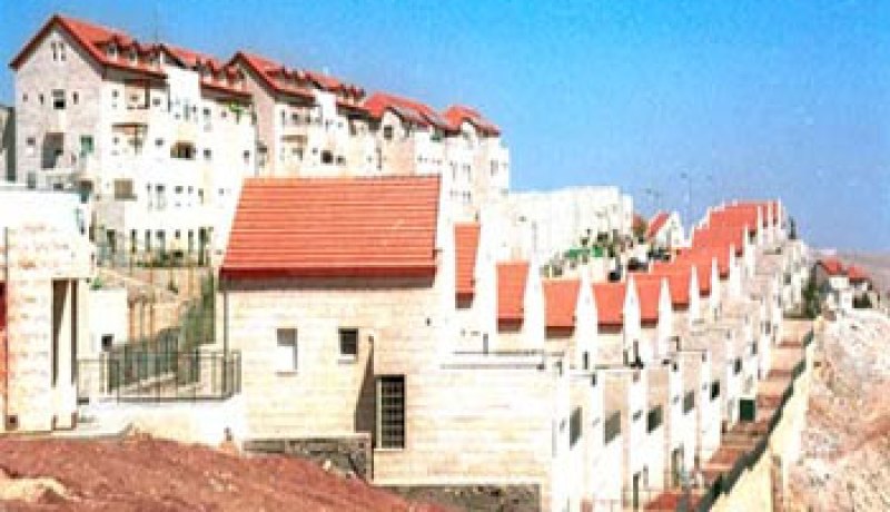 اليابان تدعو إسرائيل إلى تجميد كامل أنشطتها الاستيطانية في الأراضي الفلسطينية المحتلة