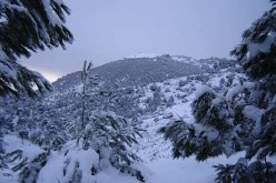 اضطراب جوي وتساقط الثلوج ابتداءً من يوم الأحد