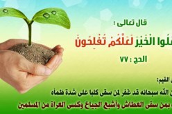 اجعلوا أمركم شورى بينكم