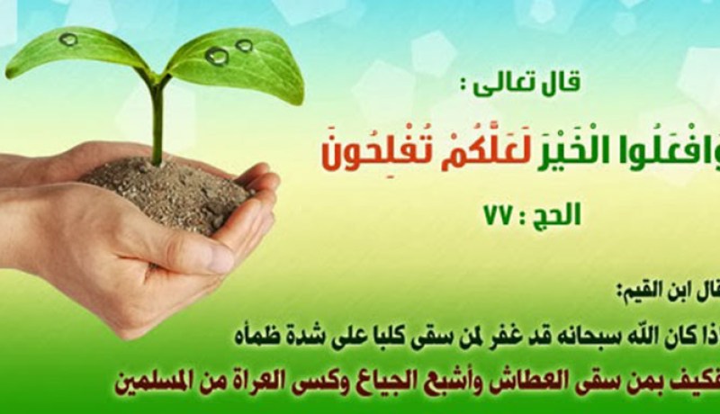 اجعلوا أمركم شورى بينكم