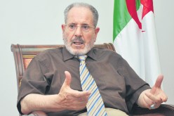 مفتٍ بكل ولاية للقضاء على الفتاوى العشوائية والمحرّضة على الفتنة