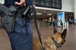 كندا تهين الجزائريين وتخضعهم للتفتيش بالكلاب البوليسية في مطاراتها