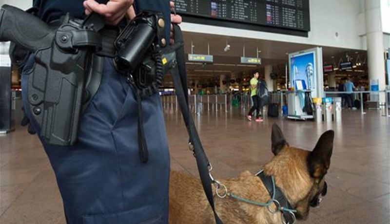 كندا تهين الجزائريين وتخضعهم للتفتيش بالكلاب البوليسية في مطاراتها