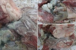 أحكام بين البراءة وعام حبسا للمتورطين في فضيحة أضاحي العيد