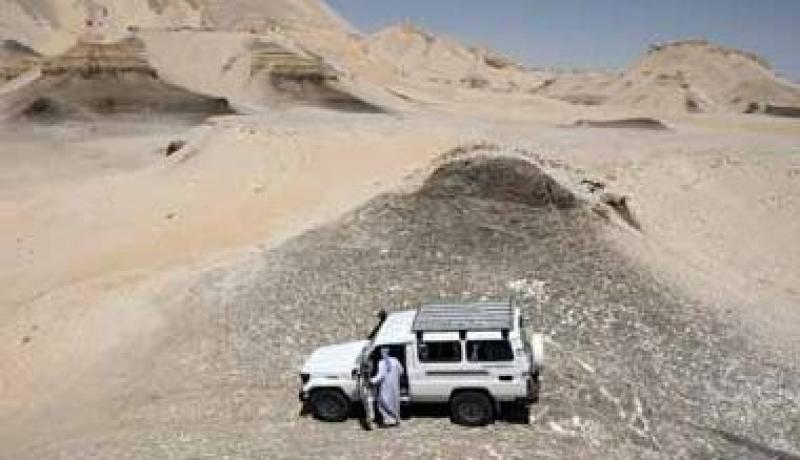 خطف سائحين أميركيين بأيدي بدو في سيناء