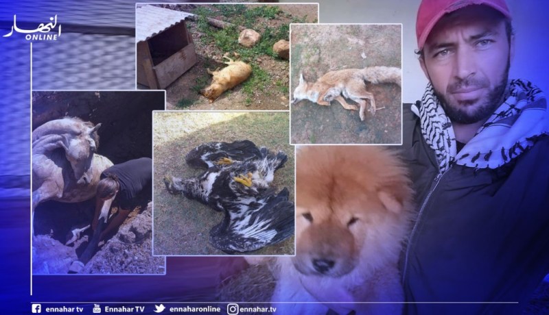 غليزان .. صاحب جناح تربية الحيوانات بحديقة مرجة سيدي عابد يوضح حول الصور المتداولة لنفوقها