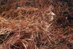 اعتقال 6 أشخاص  بتهمة التآمر الجنائي و التزوير و التهريب في المدية